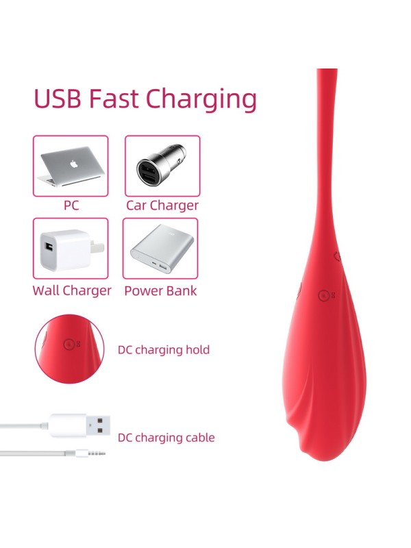 Wireless APP Remote Control Jump Egg Female Vagina Tighten Exercise Kegel Ball Vibrator GM-333 