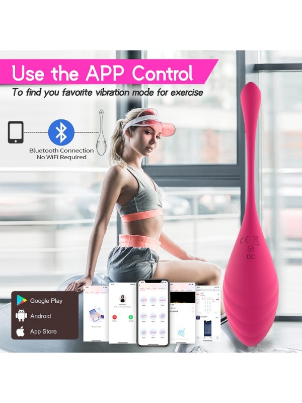 Eggs Vibrator Panty for Women Wearable Clitoral Vaginal Stimulator Sex Toy GM-341 