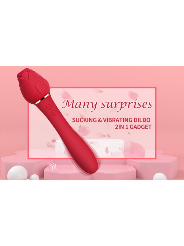 5 Speed Sucking Mode 10 Speed Vibration Mode Rose Sucking Vibrator Sex Toy GM-388 