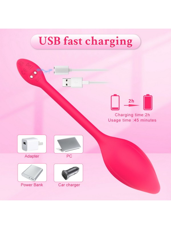 Wireless Bluetooth G-spot Dildo APP Remote Control Wearable Vibrating Egg Clitoris Female Vibrating Underwear Sex Toys GM-435 