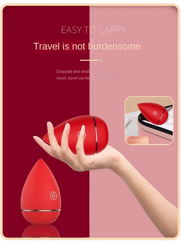 Beauty Blender Sucker 